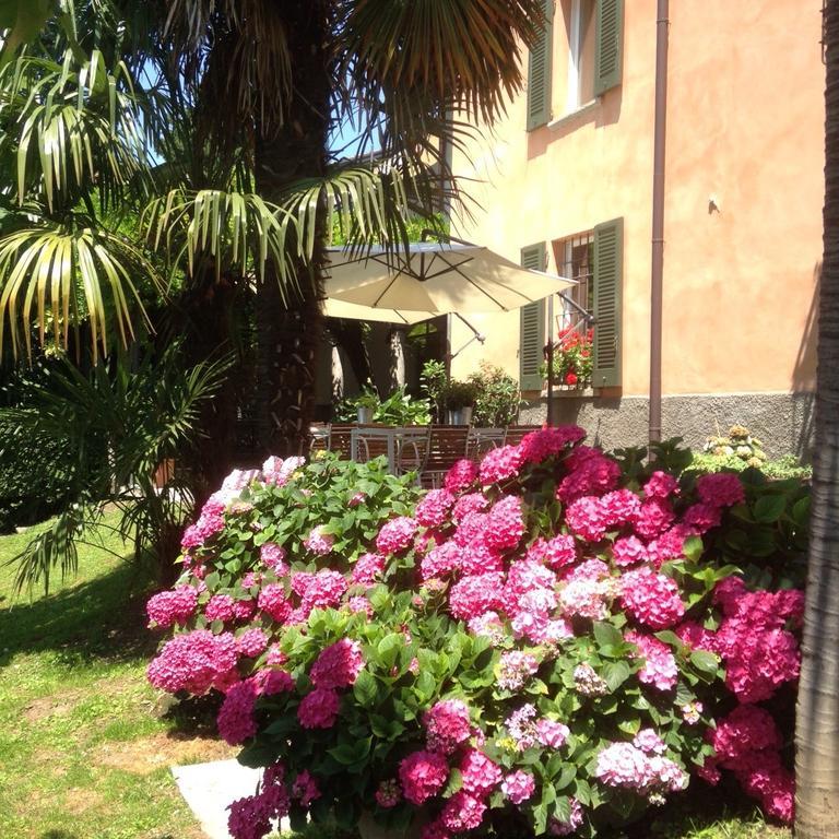 Antico Glicine B&B Maslianico Exterior photo