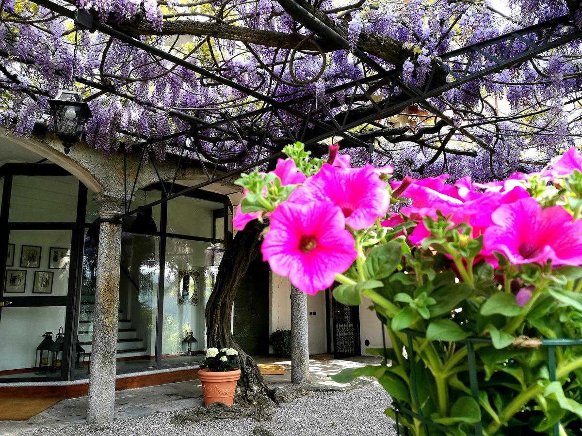Antico Glicine B&B Maslianico Exterior photo